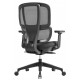 Shelby Mesh Ergonomic Office Chair